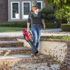   Toro akkumlátoros lombfúvó akkumulátor és töltő nélkül (Flex-Force 60 V)